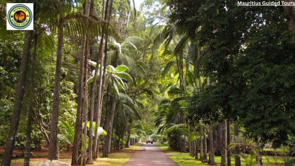 North tours Mauritius