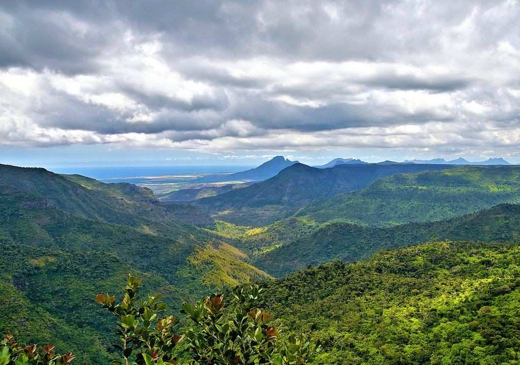 Black River Gorges National Park