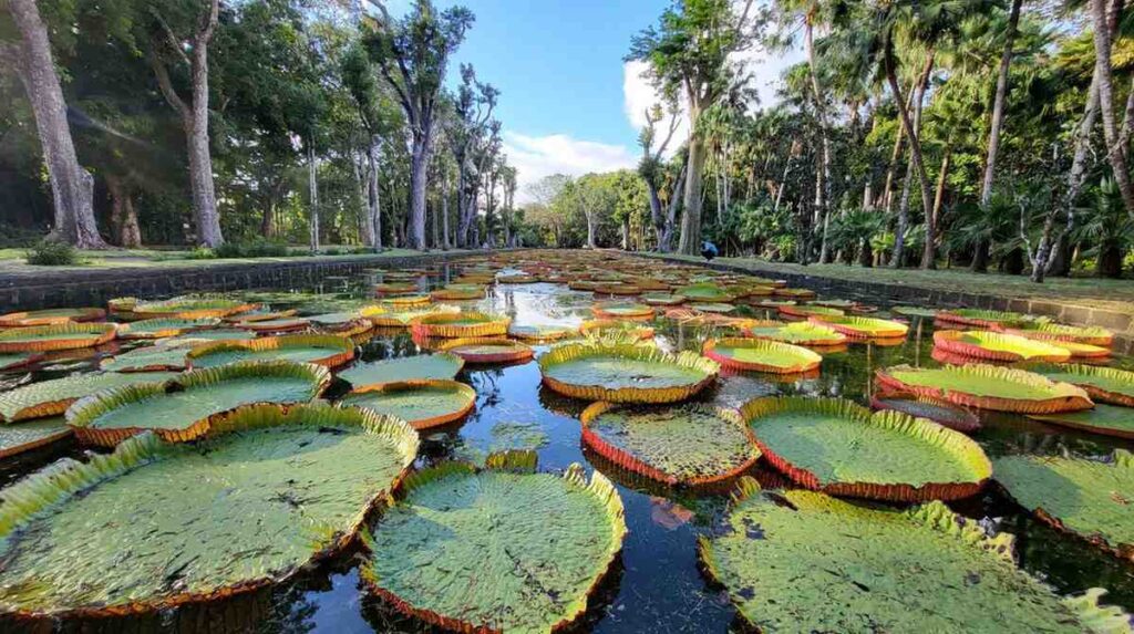 Mauritius North tours