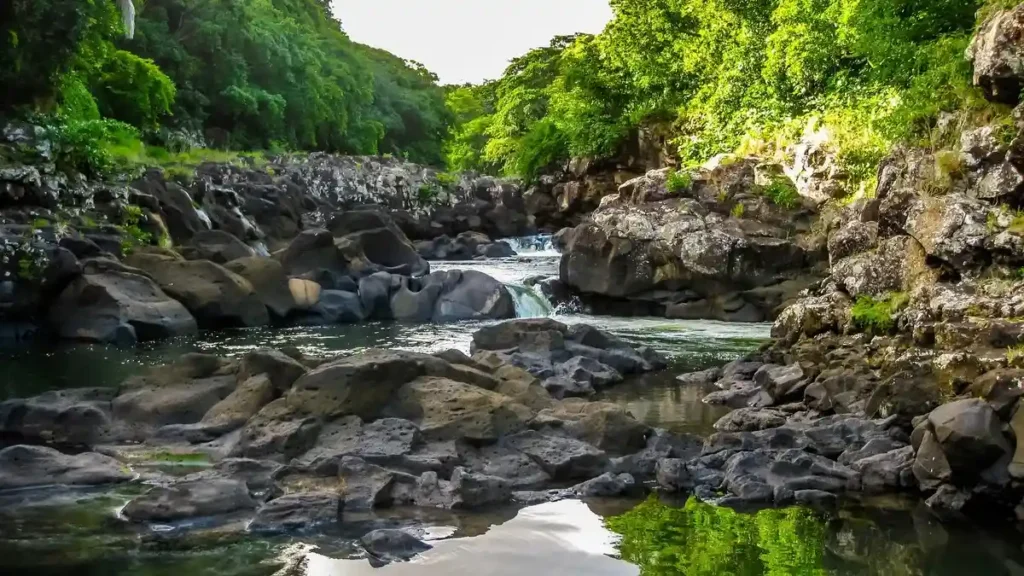 Black River Gorges National Park