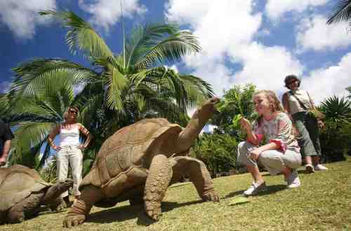 Eco Guided Tour in Mauritius