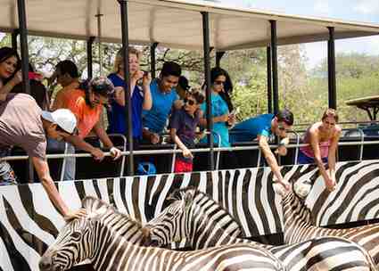 Mauritius Casela Safari Park