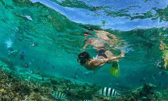 Mauritius Underwater Walk Experience