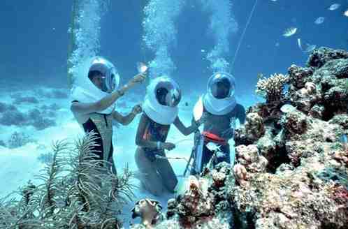 Mauritius Underwater Walk Experience