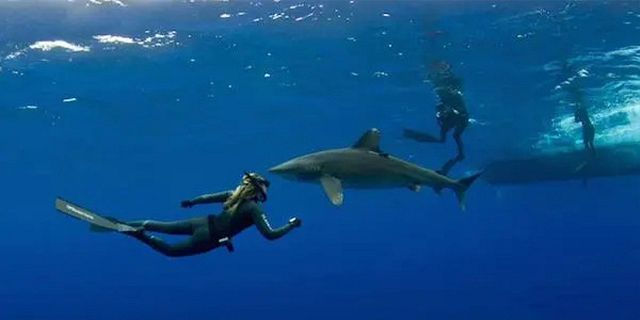 best Mauritius snorkeling tours 2025